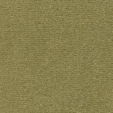 Radici Nexus Muschio 8207 фото 1 | FLOORDEALER